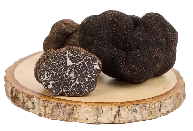 Screen Shot 2568-01-16 at 15.14.28-1